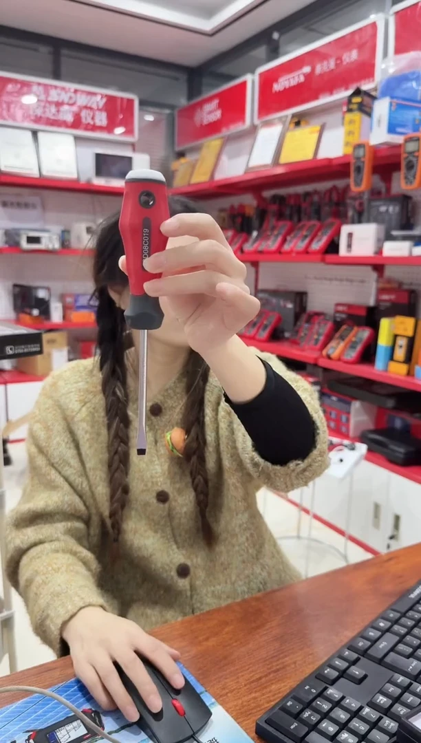 拓利亚SD08C019（一）6*100旋转螺丝刀