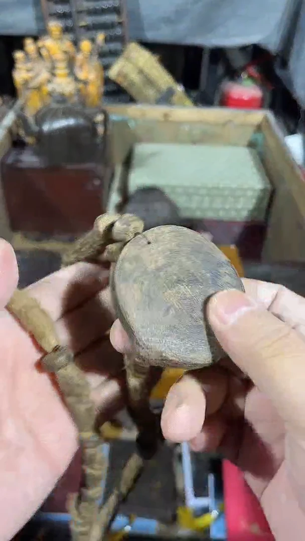 【闪购商品】滴血莲花菩提吊坠1