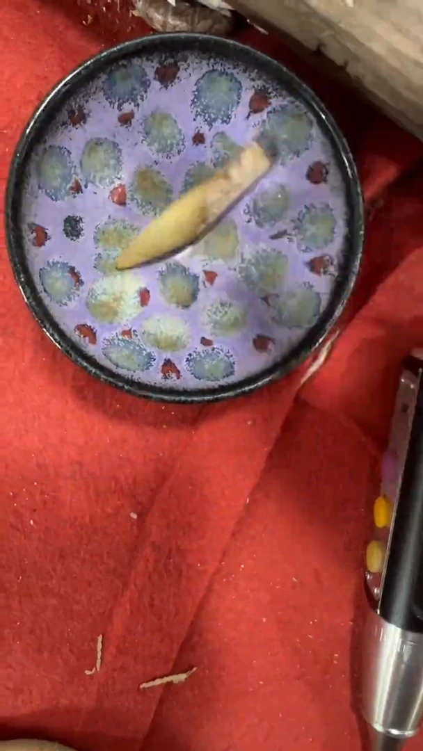 瓷片手工，手绘，陶瓷1