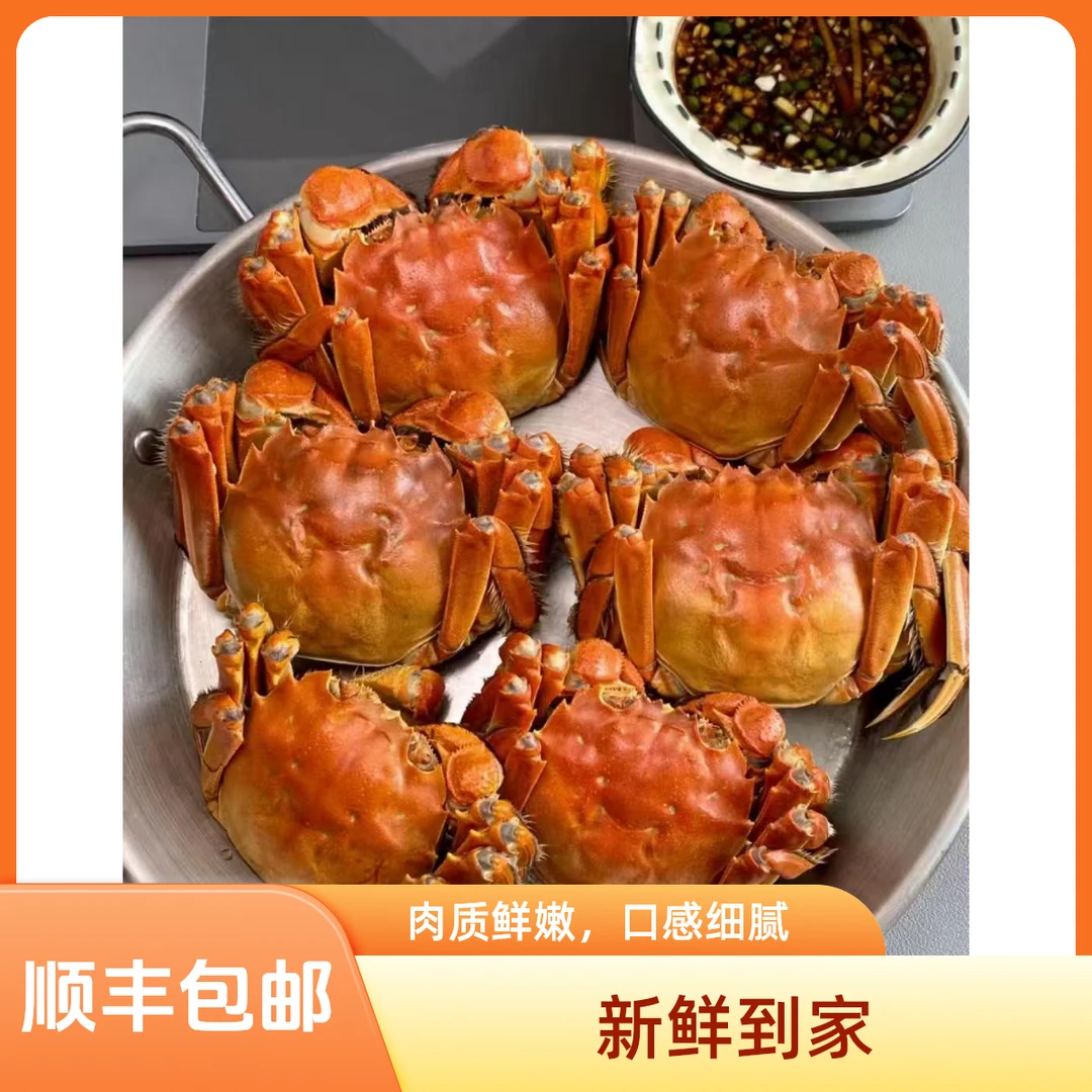 【活蟹】盘锦河蟹 纯公蟹 10只（2.3-2.6两/只）