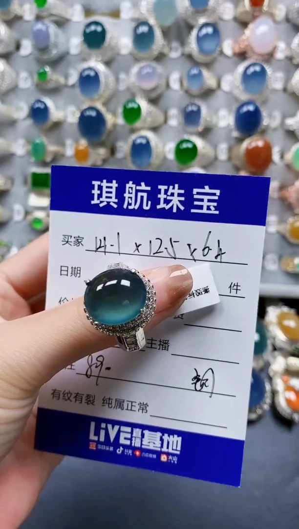 翡翠未镶嵌颈饰00000890