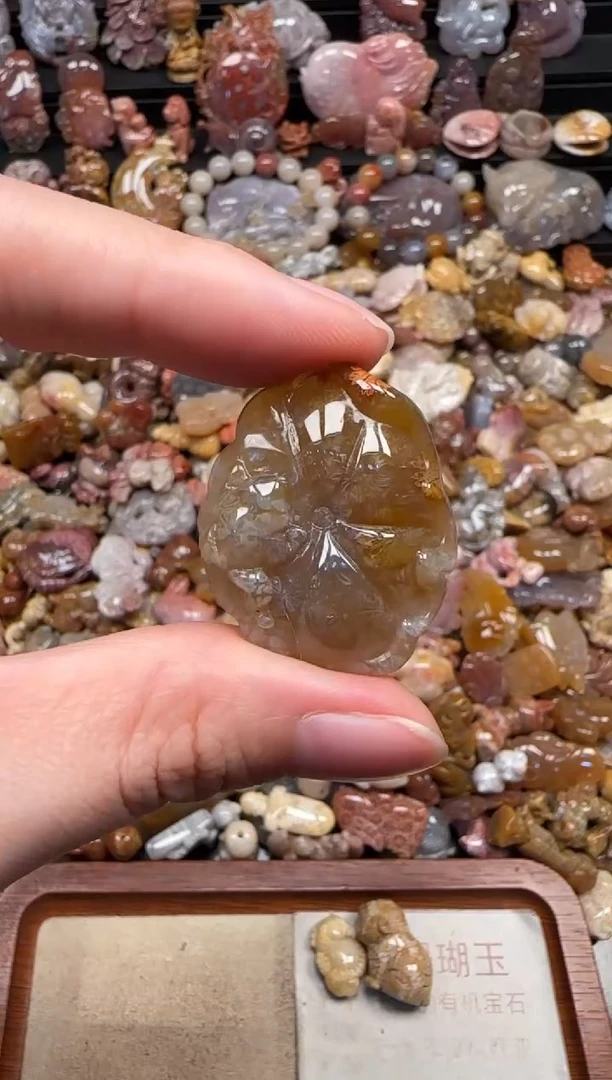 颈饰未镶嵌硅化珊瑚（珊瑚玉）632