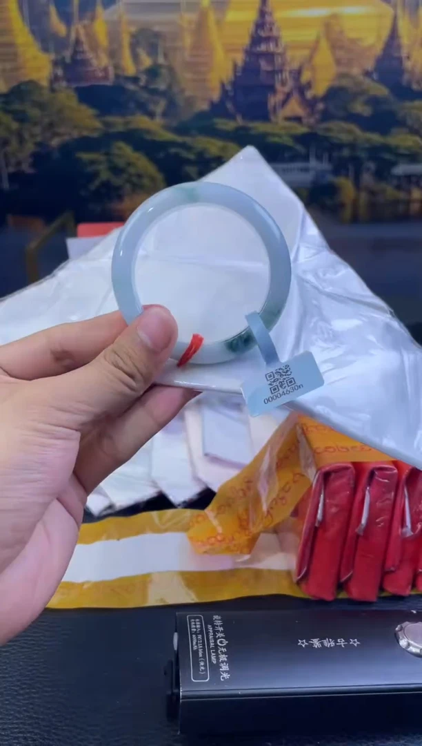 未镶嵌手镯翡翠5