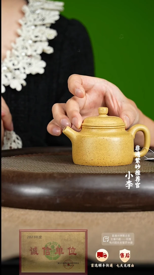 【闪购商品】14 紫砂茶壶紫砂茶壶