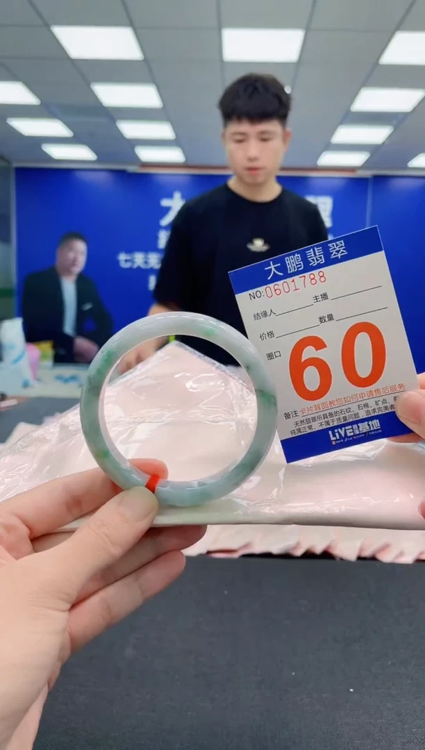 未镶嵌手镯翡翠AAAAAAAAA