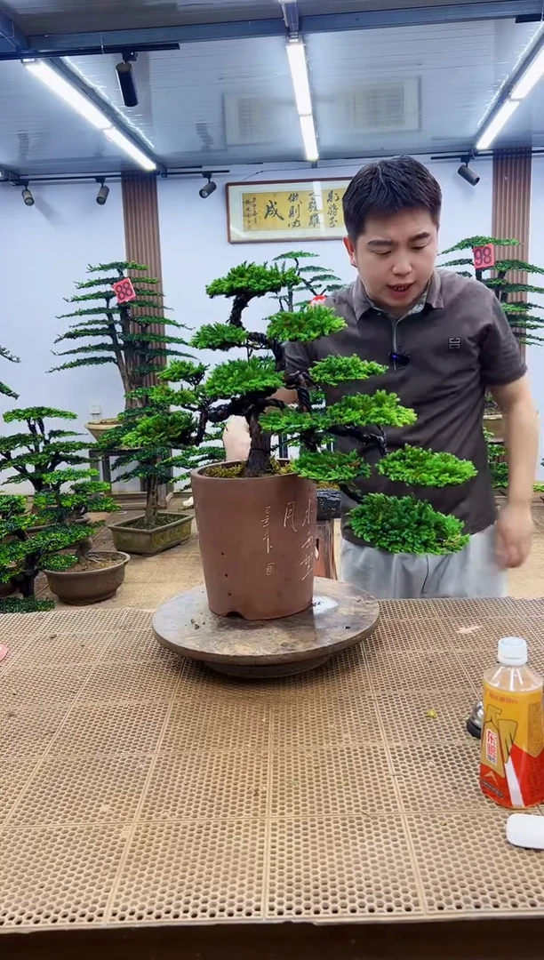 无花朵0000000000000