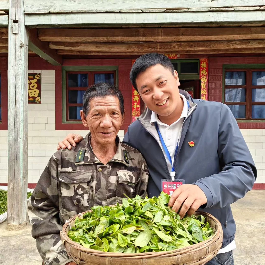 【支书优选】邦旭村33号茶农家吴家地普洱茶生茶