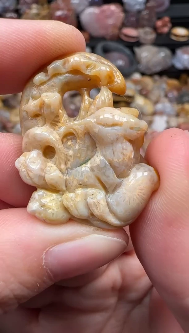 颈饰未镶嵌硅化珊瑚（珊瑚玉）049