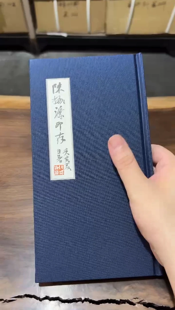 XL陈振濂印存放送