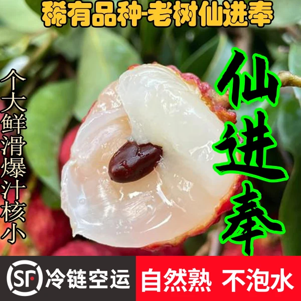 【顺丰冷链/空运】正宗广东仙进奉荔枝王后现摘新鲜不泡水岭南发货