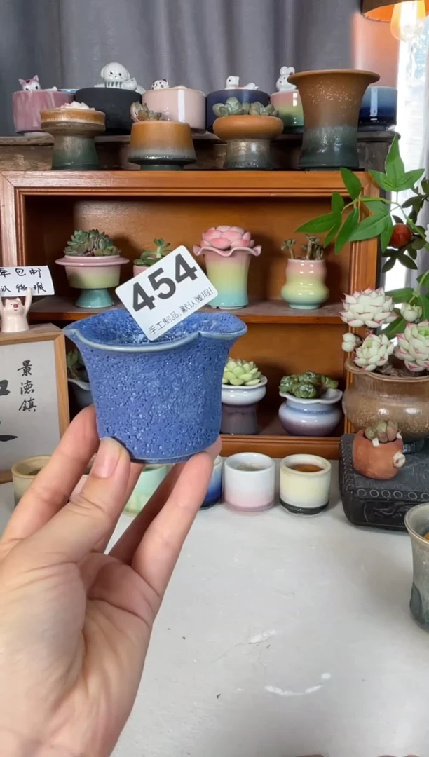 瓷片无**挡454知木小芳花盆