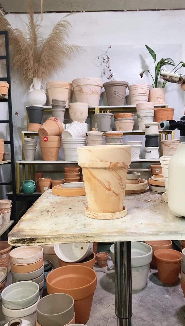 15*18玛奇朵反比例 1盆1托