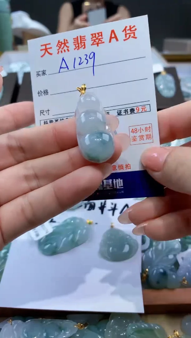 颈饰18K金镶嵌翡翠天然翡翠A货挂件