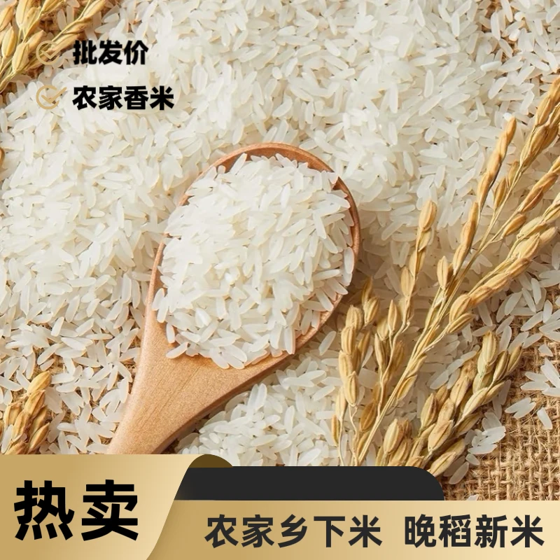 贵州高山长粒香米农家自种大米煮饭批发新米原产地发货