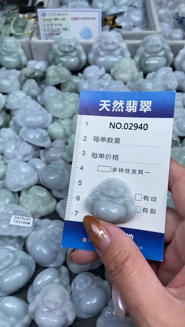 颈饰未镶嵌翡翠纯天然A货翡翠2940