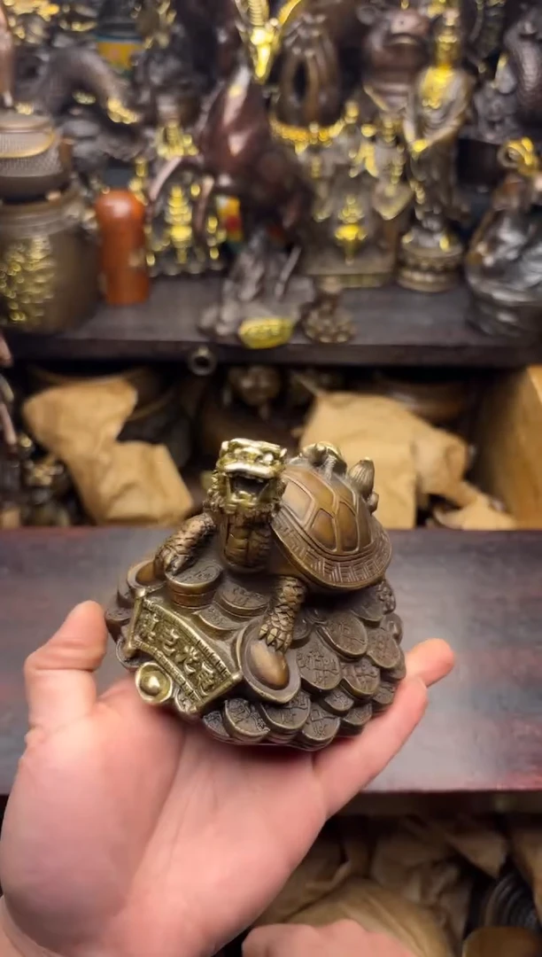 小王精选专属链接龙龟