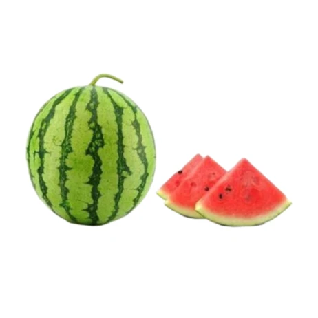 麒麟西瓜1个 10斤浙江省
