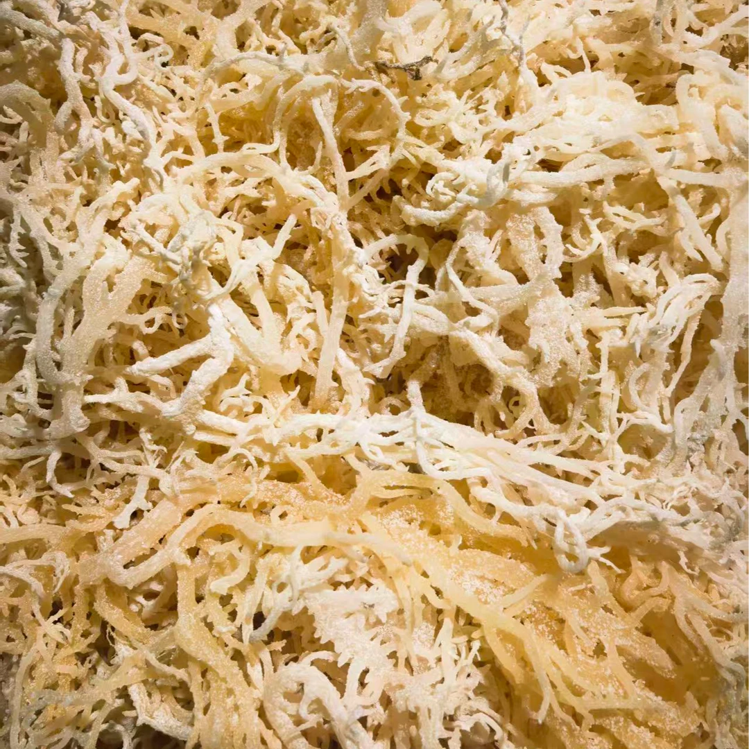 龙须菜250g左右（蔬菜）