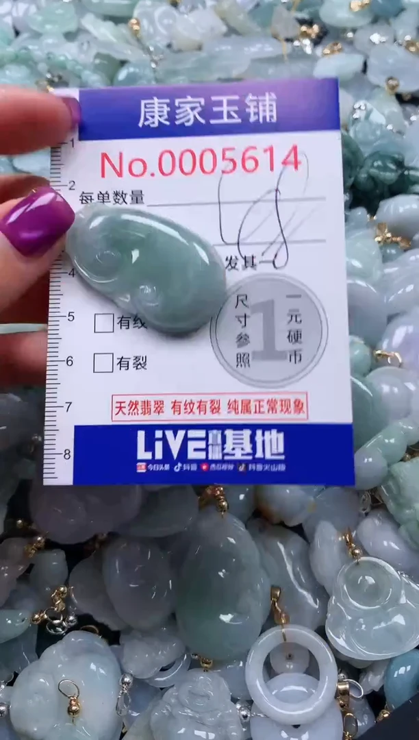 颈饰未镶嵌翡翠5614