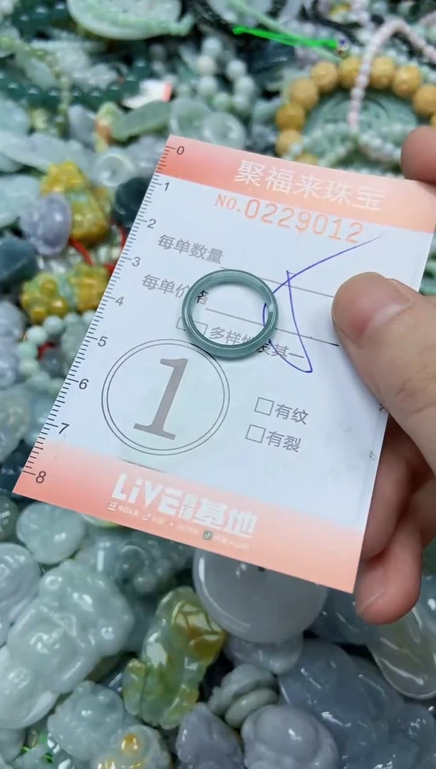 颈饰未镶嵌翡翠闪购0229012