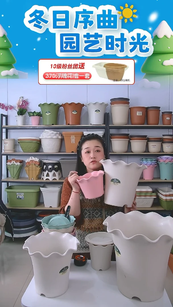 2套米白色荷叶边5004+1套粉色矮款荷叶边2号盆，全带托盘