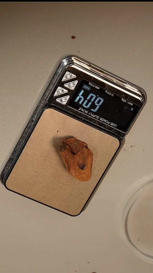 沉香沉香碎屑富森红土虫漏香料6.04g