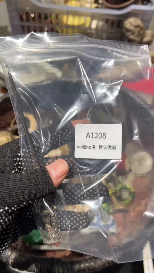 菲***兄秒拍秒付闪购链接