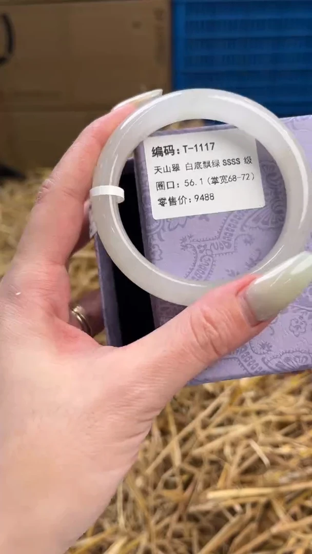 未镶嵌手镯石英质玉T-1117