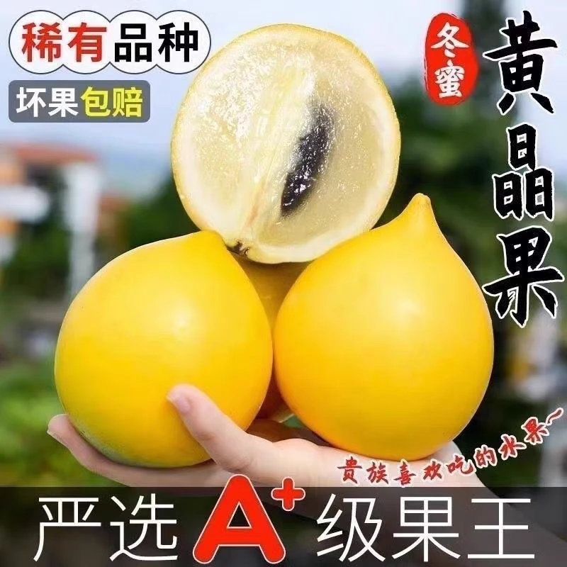 【顺丰快运】西双版纳 冬蜜黄晶果 鲜甜可口营养丰富新鲜采摘