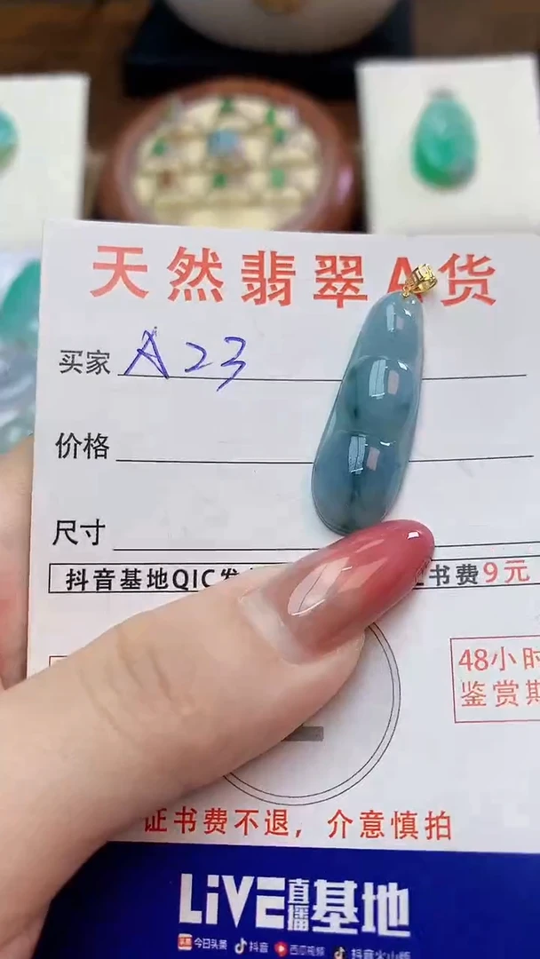 颈饰未镶嵌翡翠天然A货翡翠挂件