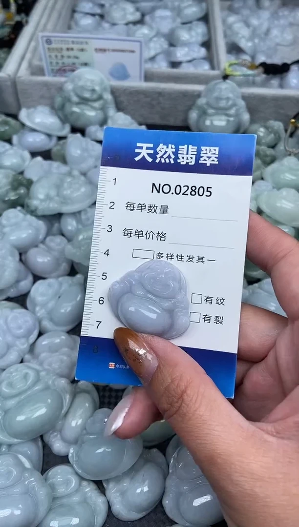颈饰未镶嵌翡翠纯天然A货翡翠2805