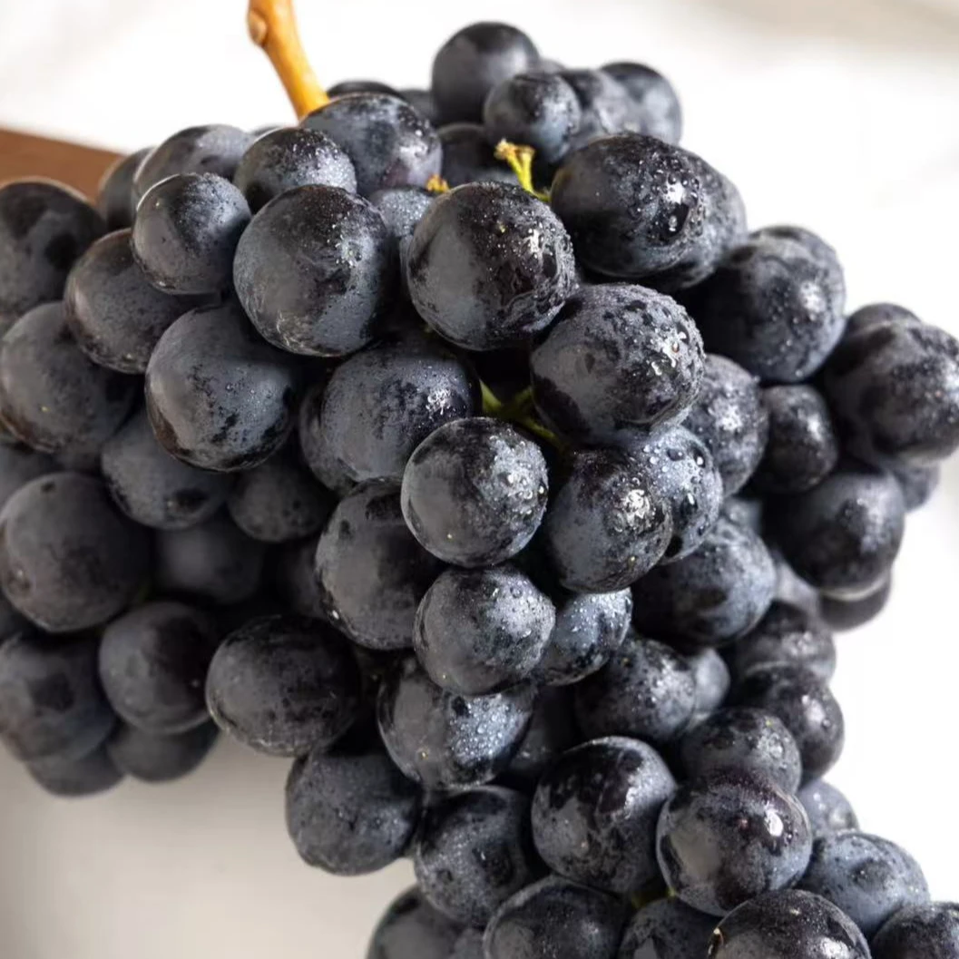 14玫瑰香黑提 空运  脆甜小糖豆！  净重3斤【只发河南省】