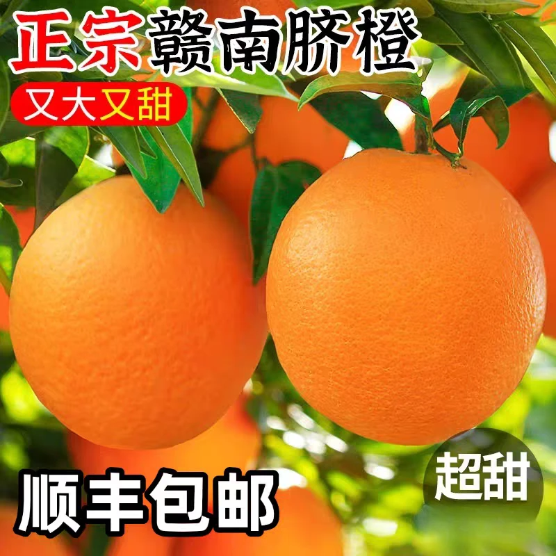 【顺丰包邮】正宗赣南脐橙个大香甜多汁现摘现发坏果包赔