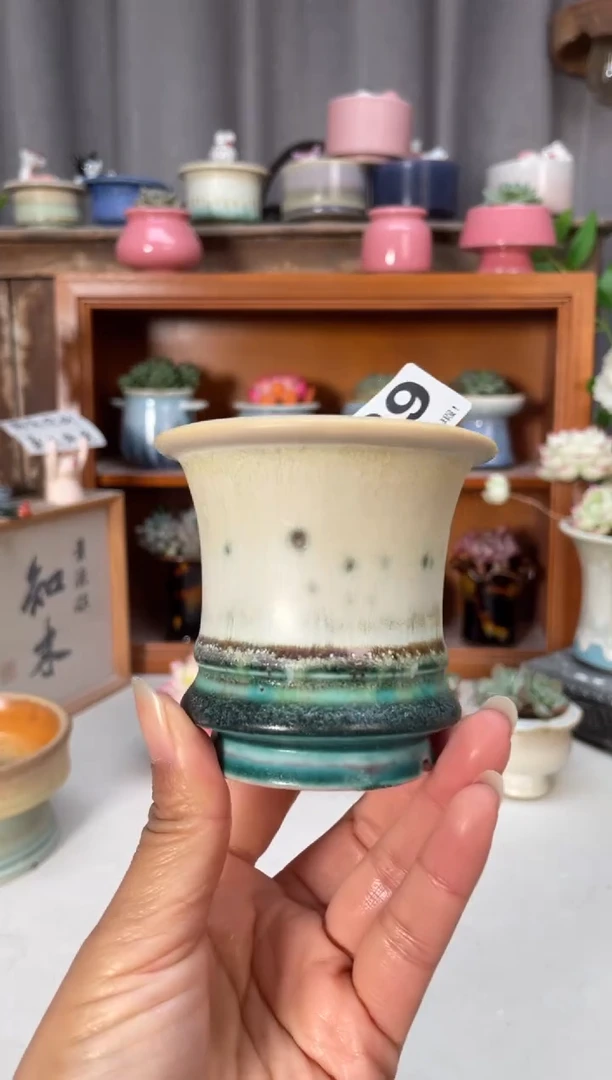 瓷片389小芳直播编号