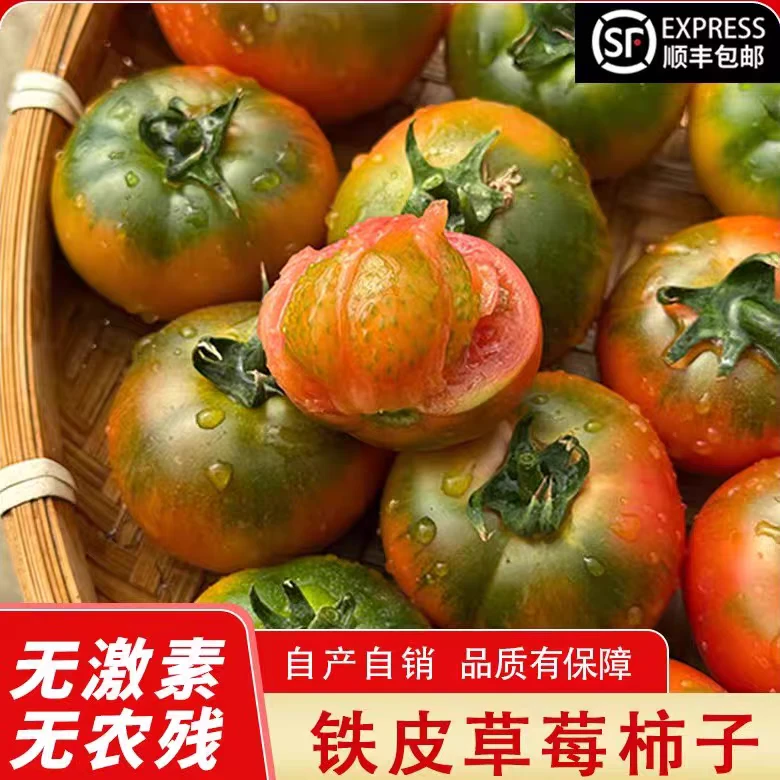 5斤小果【顺丰京东包邮】盘锦碱地柿子草莓番茄铁皮柿子自然熟