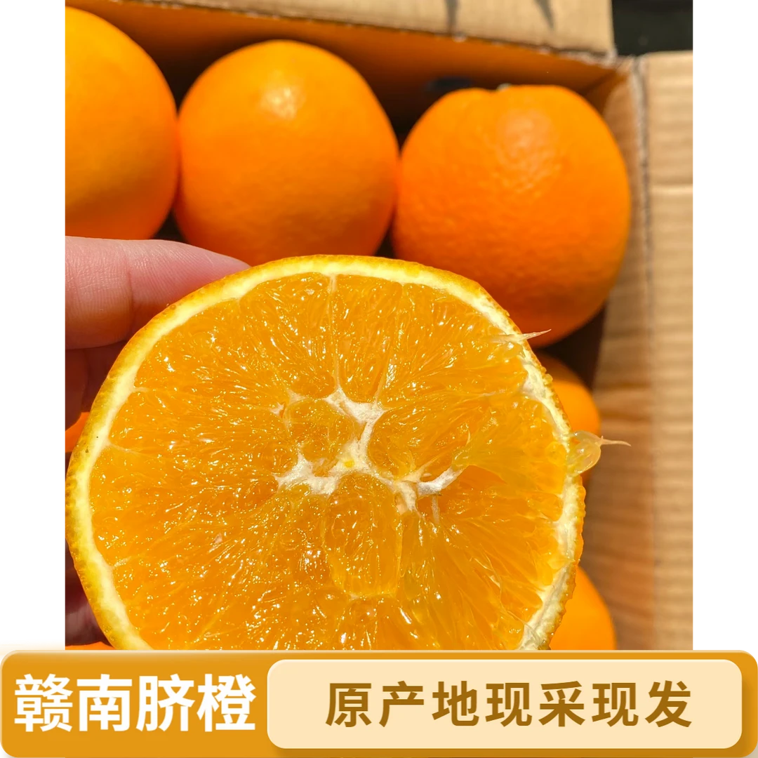 【精品】脐橙正宗赣南江西橙子新鲜甜橙赣州薄皮直发橙子整箱批发