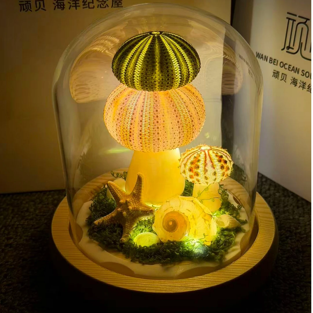 7【多蘑菇海胆灯】大柱型  贝壳小夜灯 氛围适生日礼物