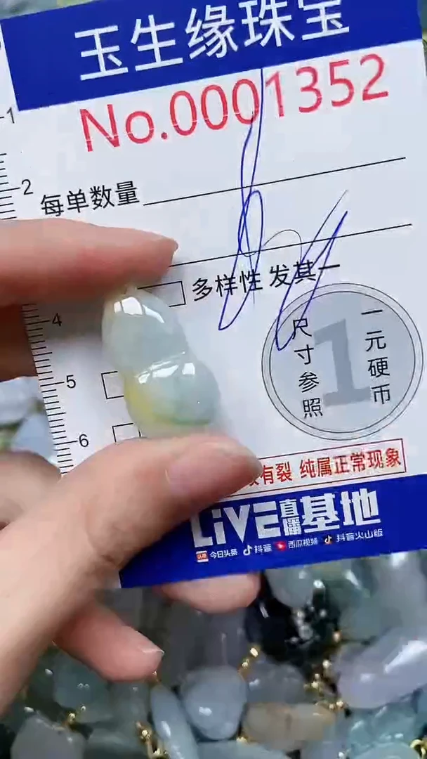 【闪购商品】翡翠颈饰未镶嵌闪购00001352