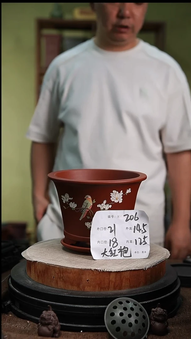 紫砂花盆花卉园艺206+z