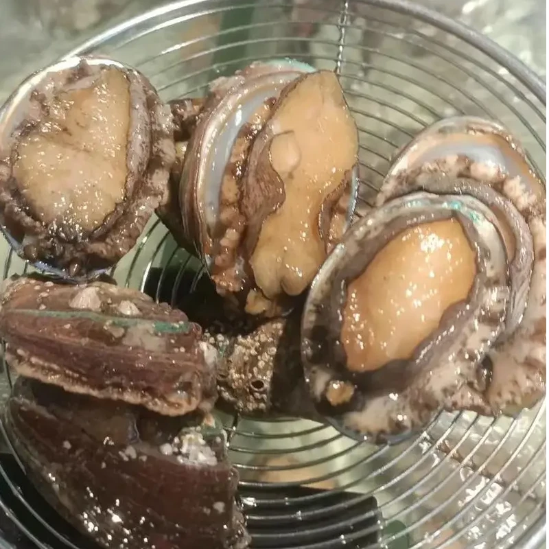 鲍鱼（只）