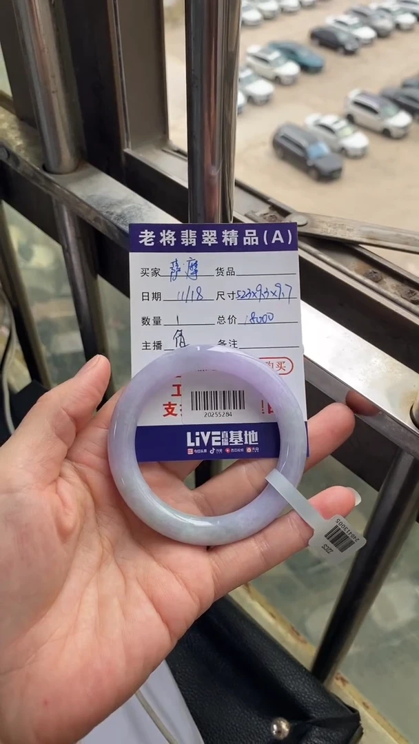 未镶嵌手镯翡翠萨**宝//20255284