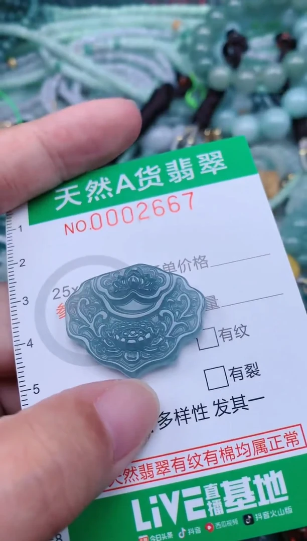 翡翠未镶嵌颈饰.0002667