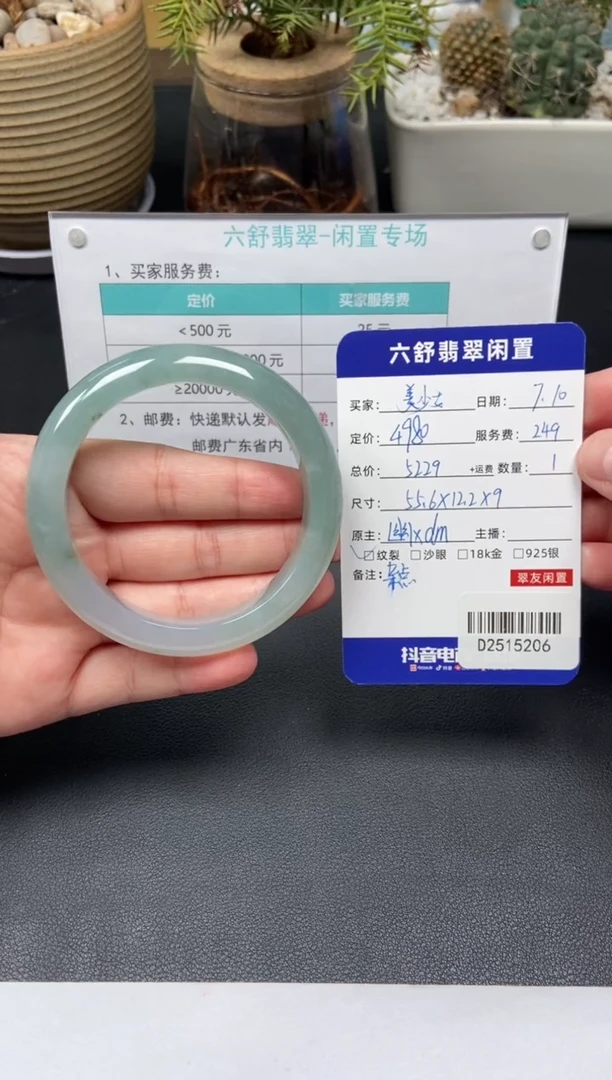 翡翠手镯未镶嵌美**?D2515206