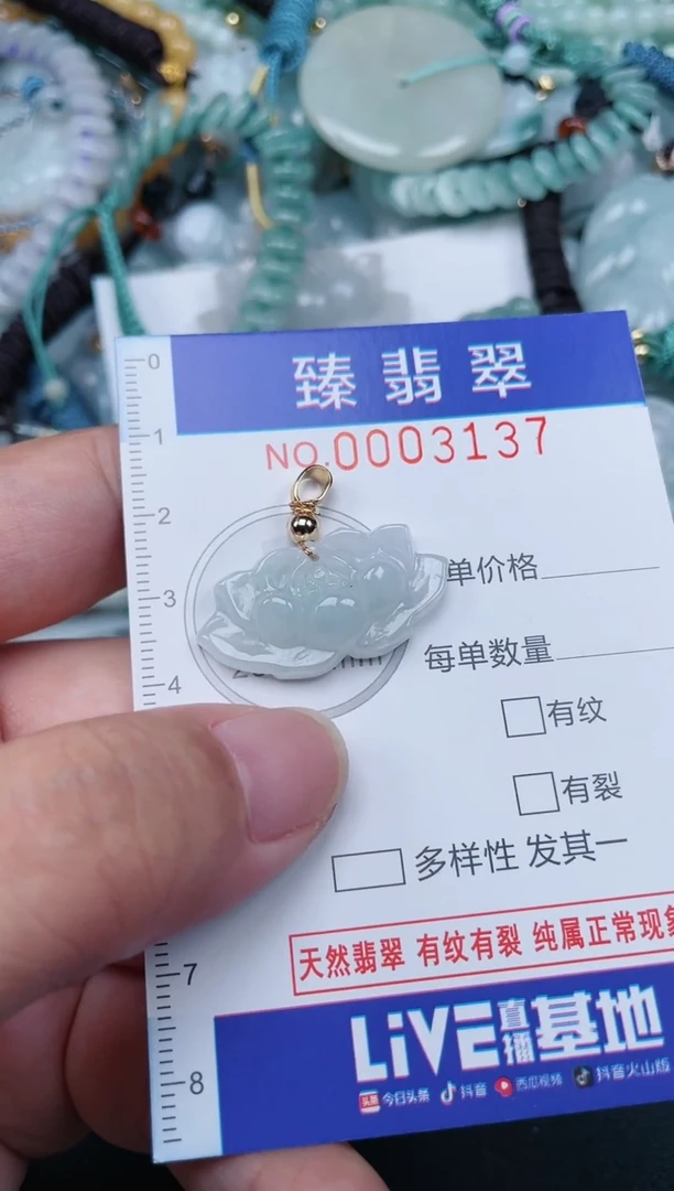 翡翠未镶嵌颈饰.0003137