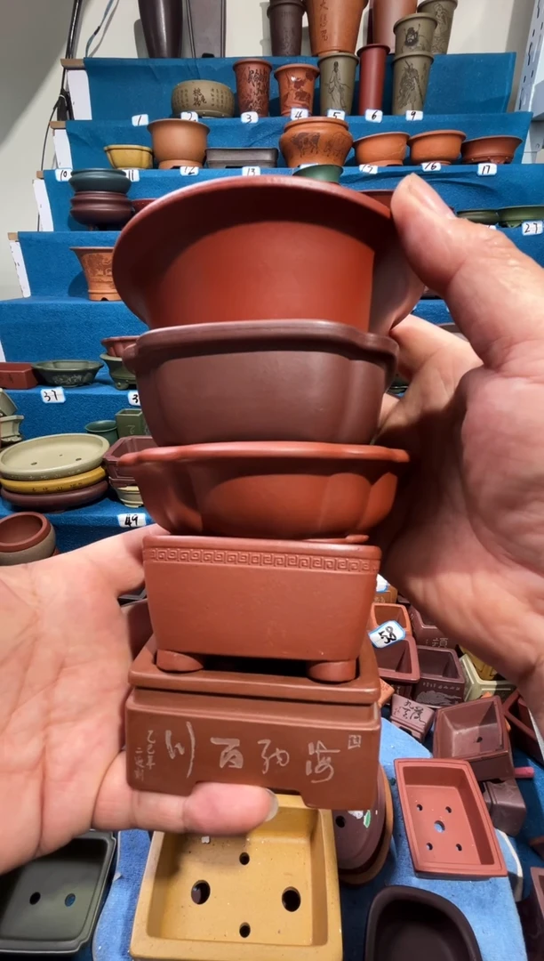 【闪购商品】紫砂花盆6