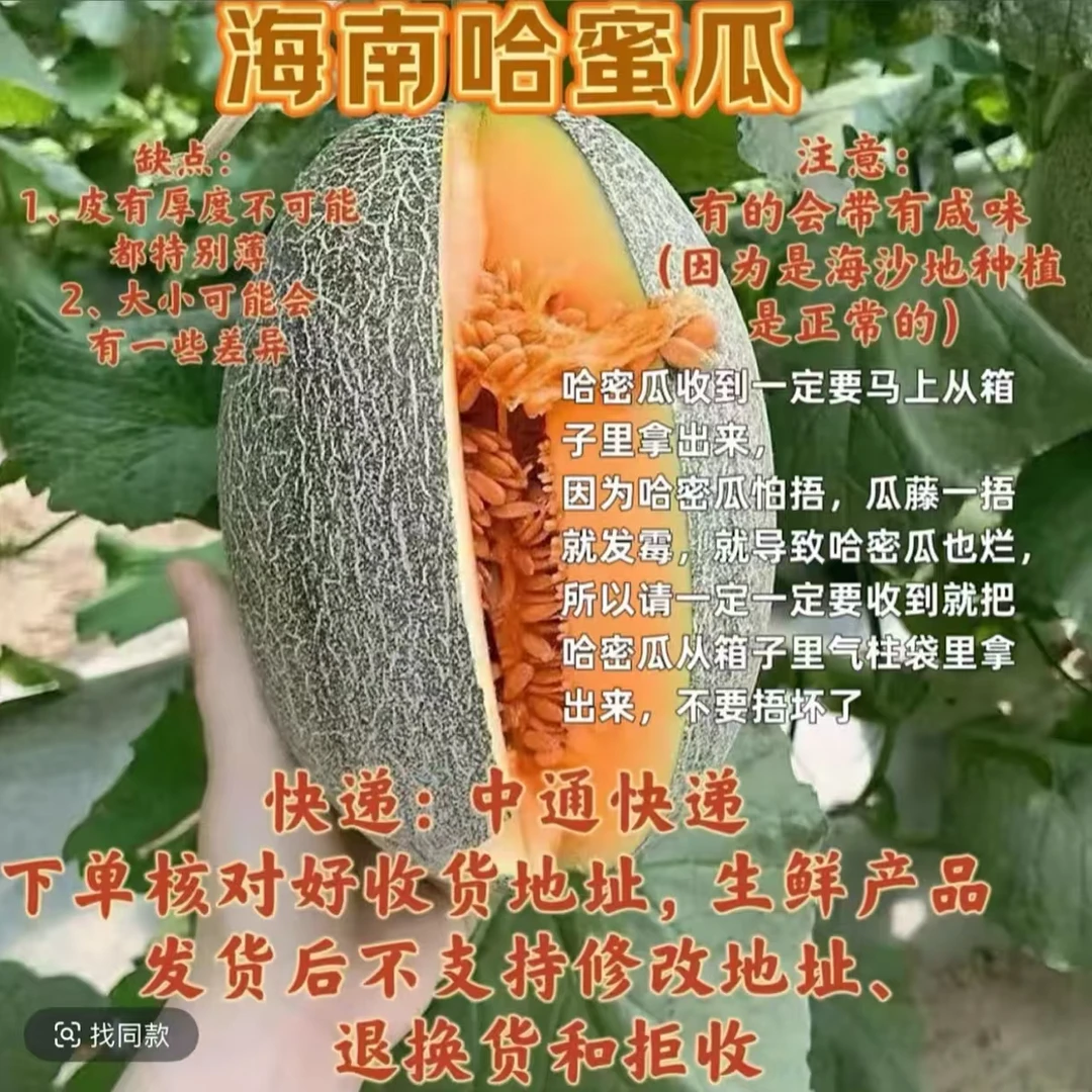 【刘老四精选】海南沙地哈密瓜2个装 拉到广西发货 中通快递