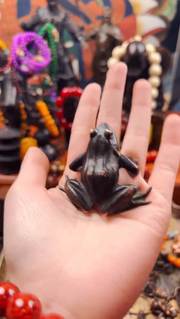 【闪购商品】飞姐专属精品推荐