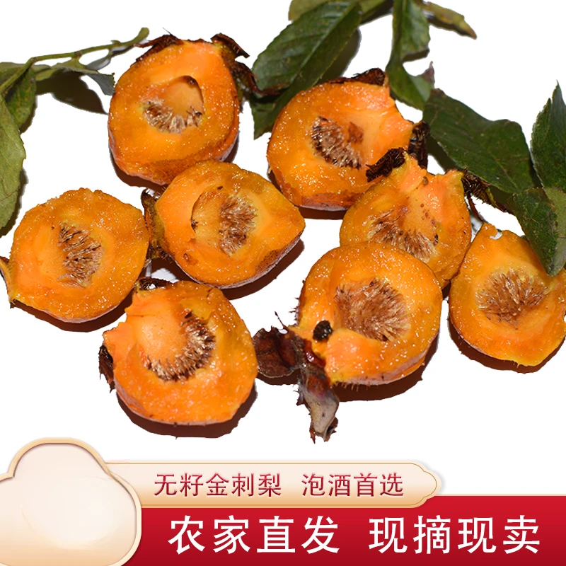 刺梨鲜果贵州安顺新鲜野生金刺梨水果现摘当季无籽刺梨泡酒