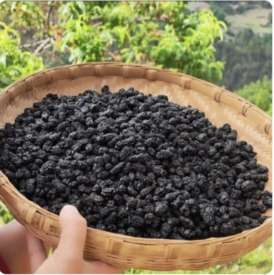 新疆桑葚干特产直发无沙免洗小零食健康营养泡水泡酒无添加 tt