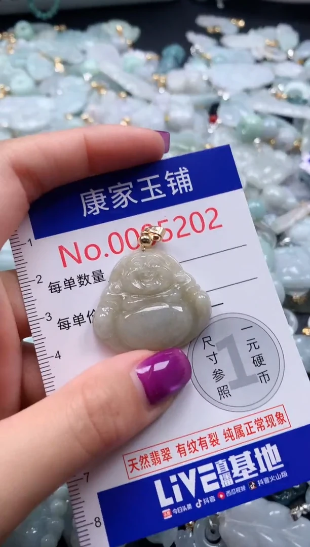 颈饰未镶嵌翡翠5202